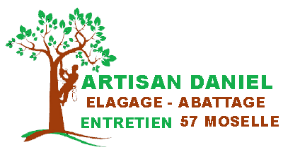 Artisan Daniel, Elagage 57